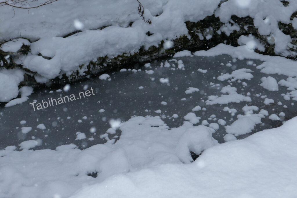 白川郷凍った川